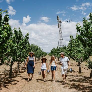 family cherry picking