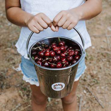 cherries mudgee december