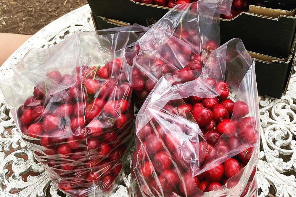 cherry-picking-bags