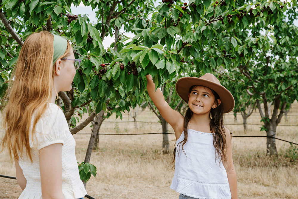 family-friendly-to-do-mudgee