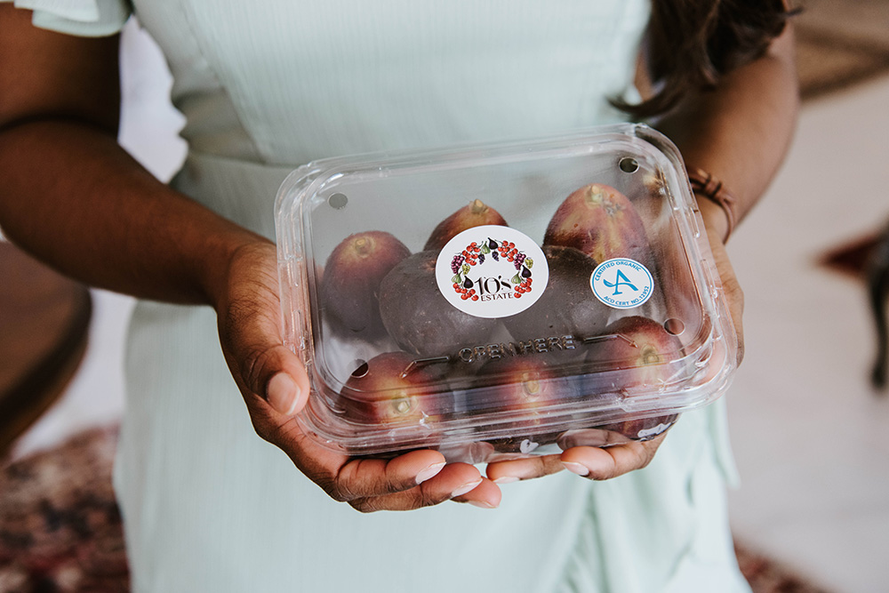 fig-pick-your-own-mudgee-family-kids