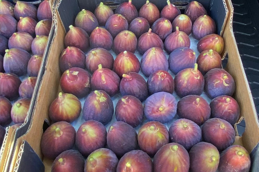 box of figs