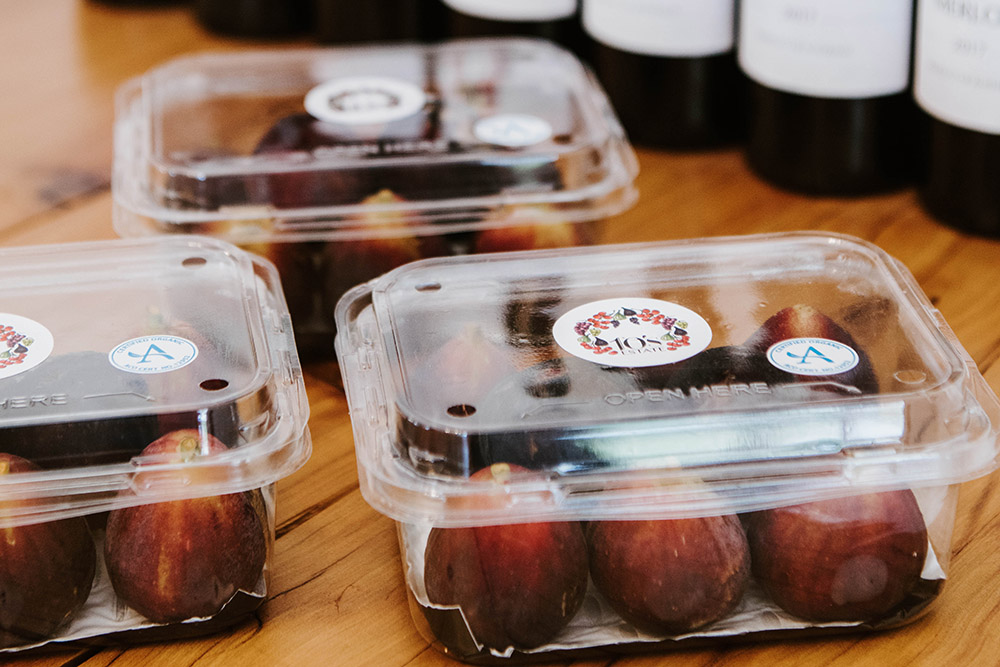 fresh-picked-figs-mudgee-experience