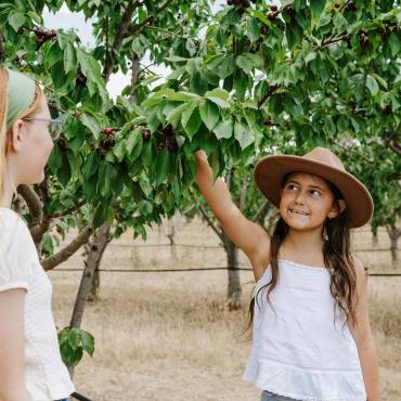 kids cherry picking