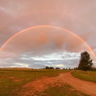 rainbow mudgee